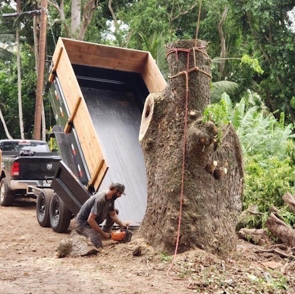 What Tree Services | Best Tree Removal and Land Clearing in Maui